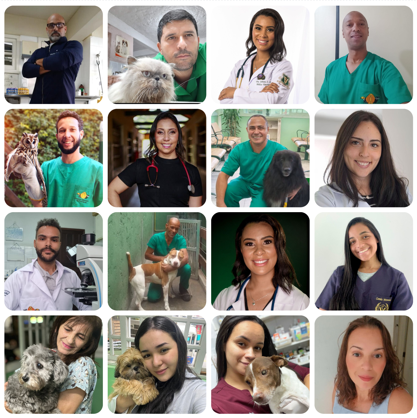Equipe veterinária em atendimento